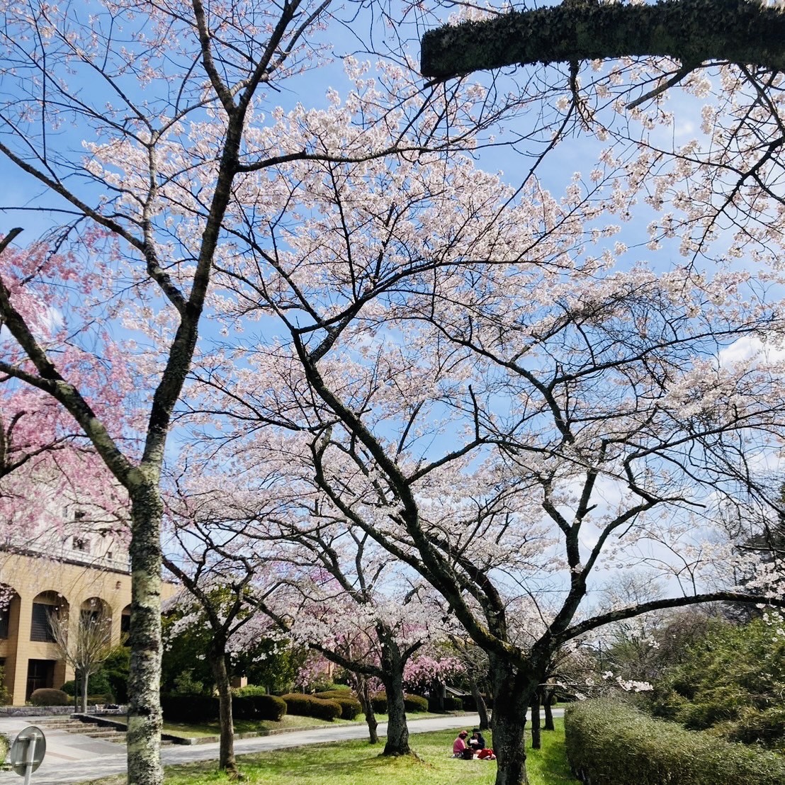 初！外出イベント開催🌸