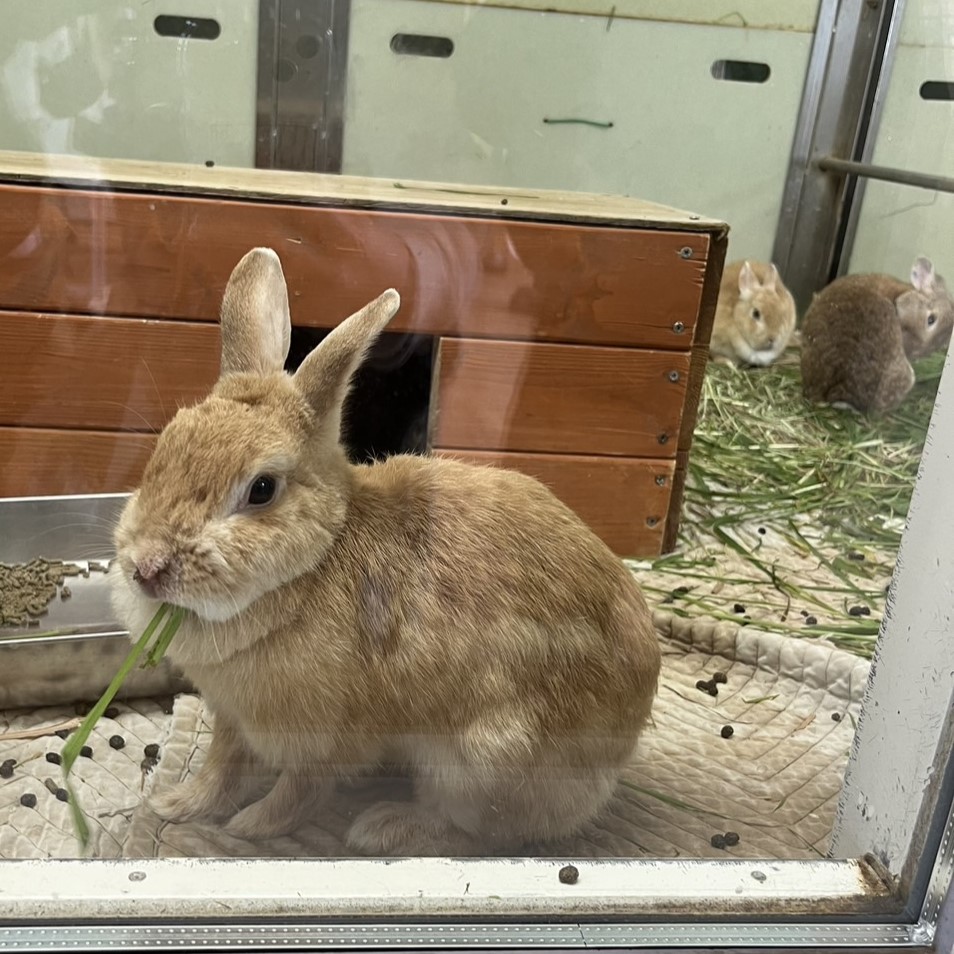 八木山動物公園に行きました！